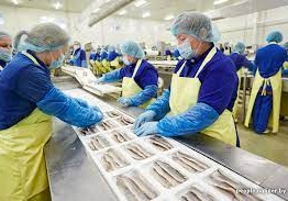 Доступны рабочие места для женщин, мужчин и пар. Работа в Польше