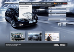 Website development