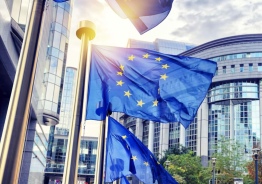 Оформление Европейского Гражданства 