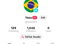 TikTok Brazil Account