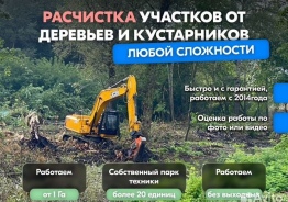 Расчистка территорий от деревьев и пней от 1 Г