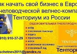 Ищу партнера в готовый бизнес