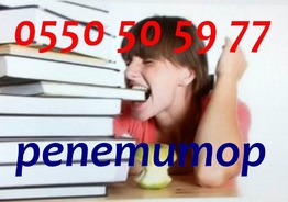 Учитель по английскому и французскому языкам в Бишкеке репетитор, преподаватель
