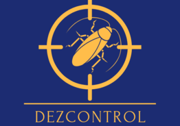 Dezinfekcija,deratizācija, dezinsekcija