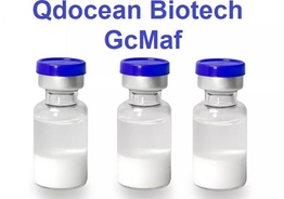 GcMAF