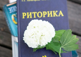 Русский язык для детей билингвов ( Russian language for bilingual children)