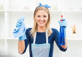 Cleaner 