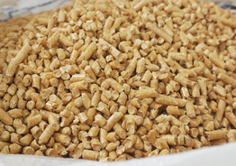 Wood chip pellets of coniferous quality produced by Premium in Latvia, confirmed by the Enplus A1 certificate.